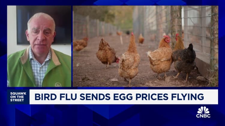 Wholesale egg prices have ‘plunged.’ Retail prices may follow