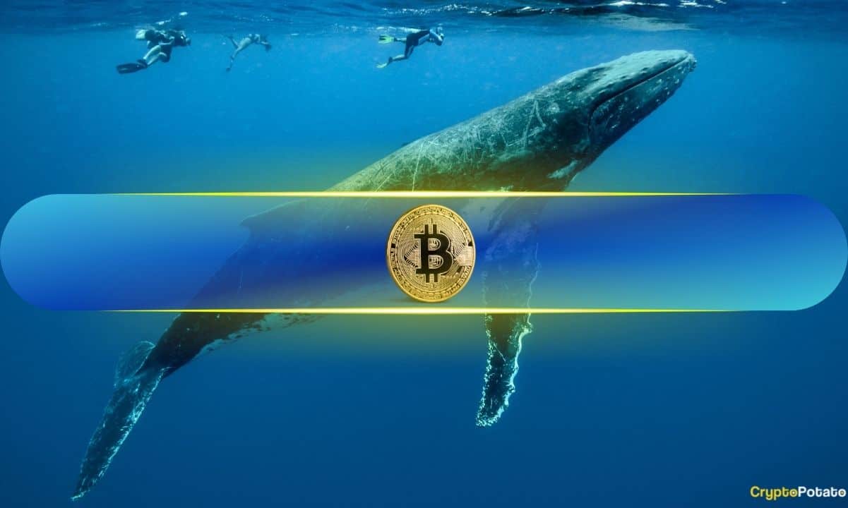 Bitcoin Price Targets $90,000 as BTC Whales Go on Accumulation Spree